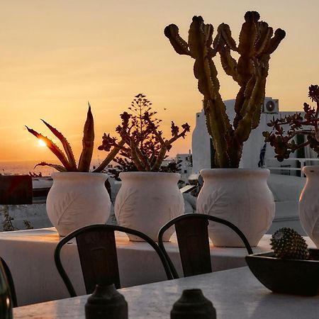 Elaia Luxury Suites Mykonos Mykonos Town Exteriér fotografie