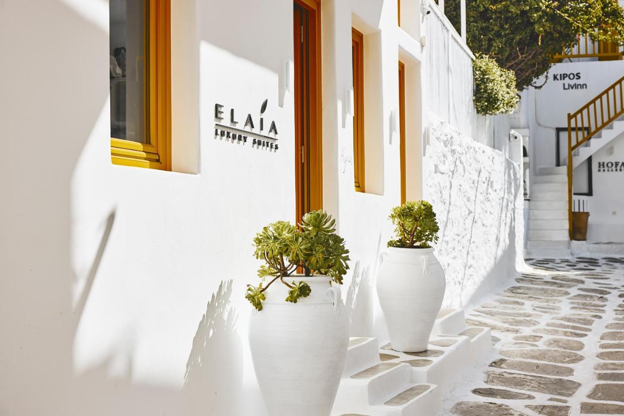 Elaia Luxury Suites Mykonos Mykonos Town Exteriér fotografie