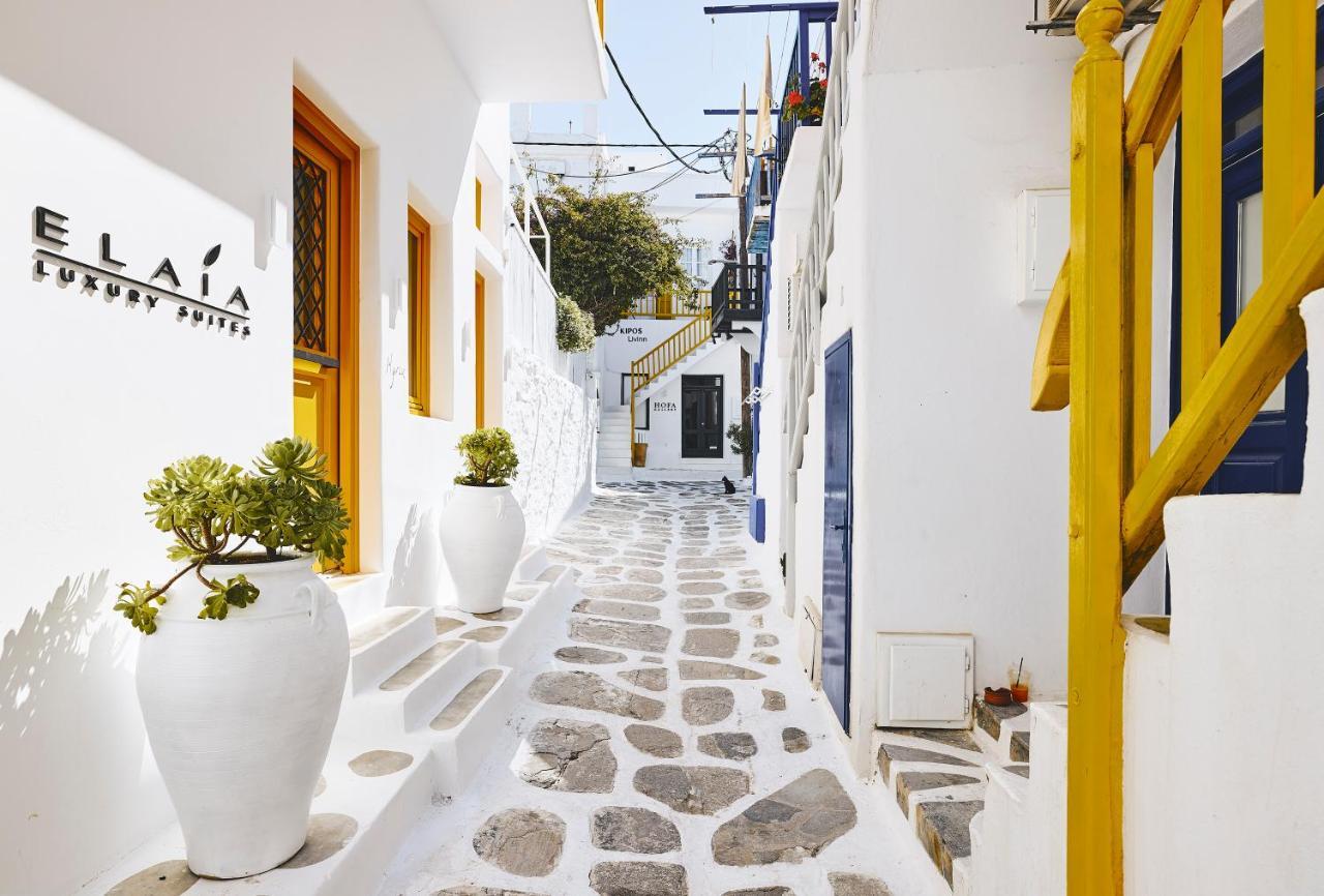 Elaia Luxury Suites Mykonos Mykonos Town Exteriér fotografie