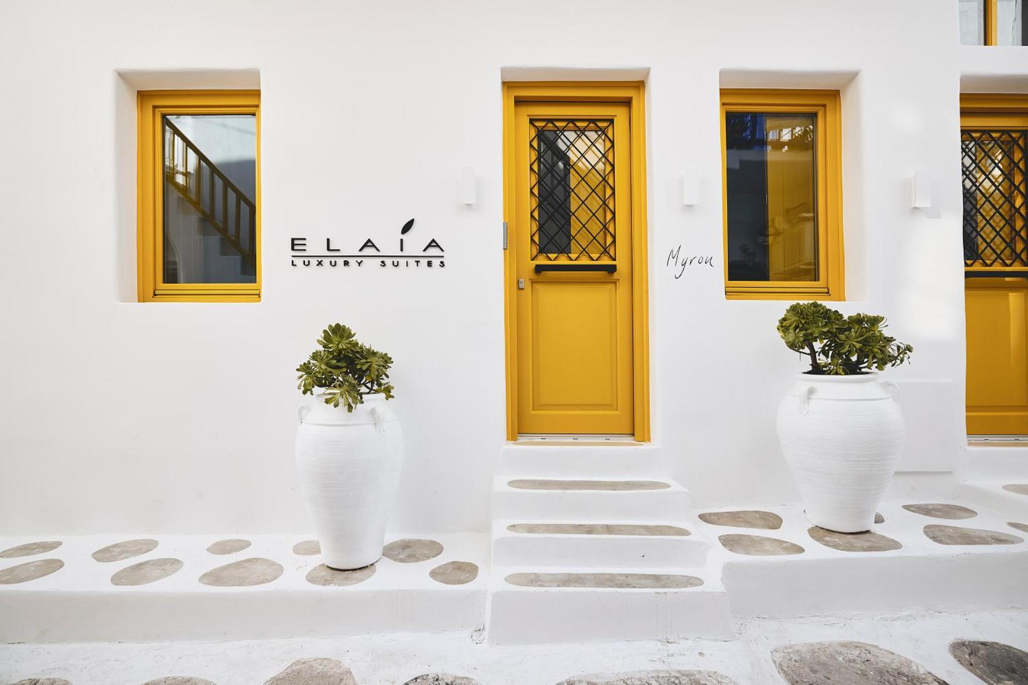 Elaia Luxury Suites Mykonos Mykonos Town Exteriér fotografie
