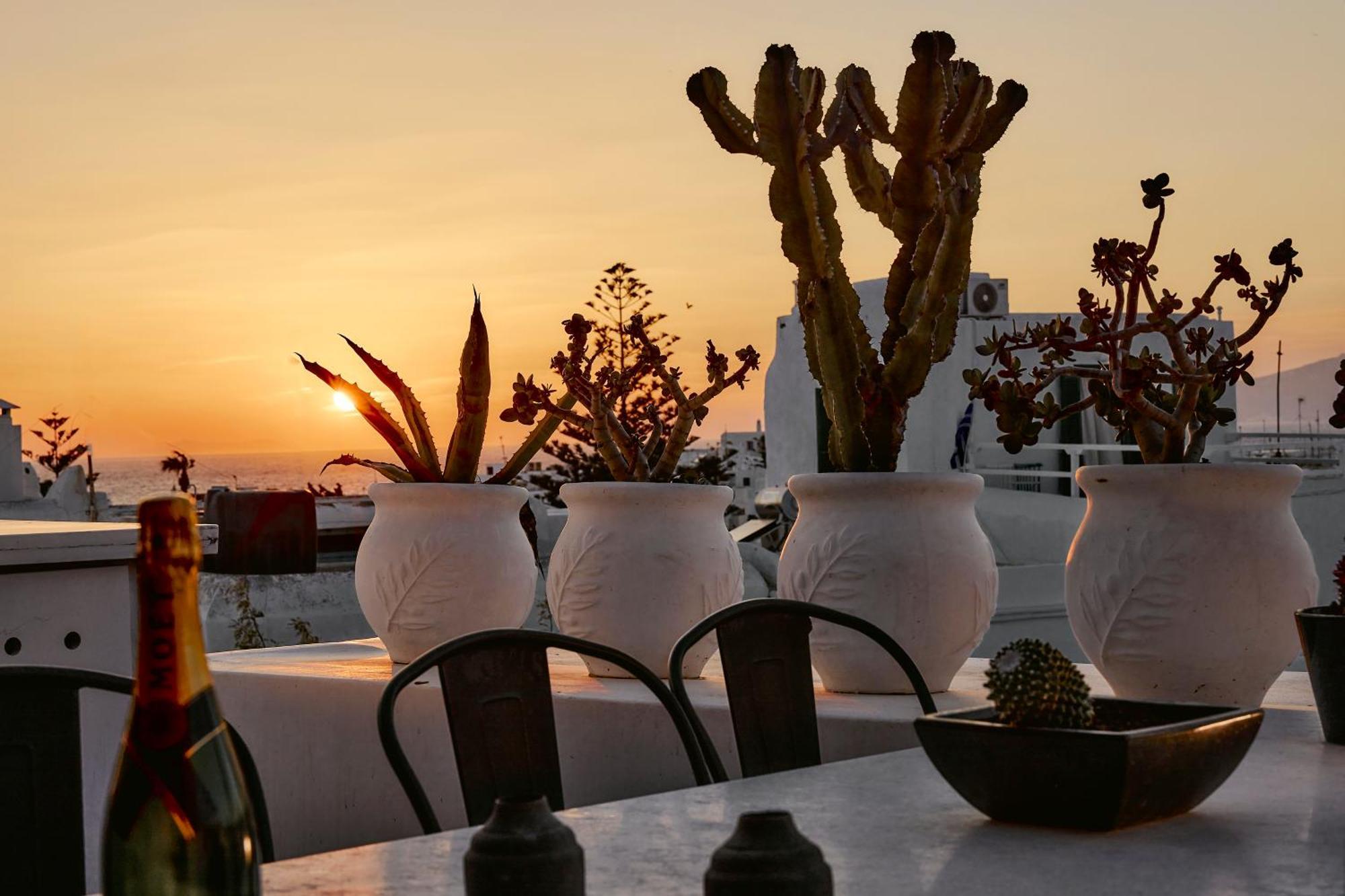 Elaia Luxury Suites Mykonos Mykonos Town Exteriér fotografie